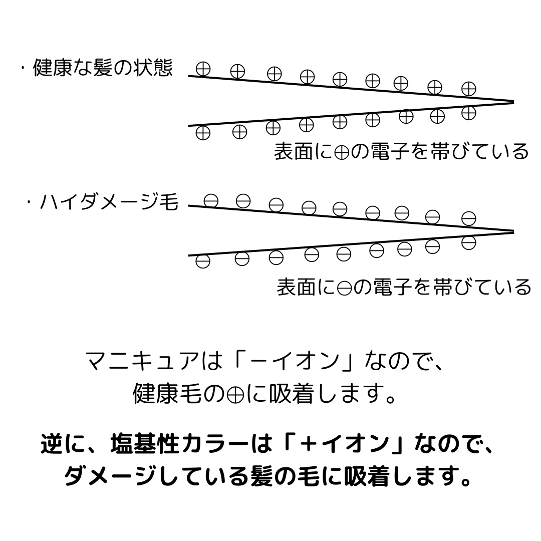 https://assets.am-yu.jp/2002e0f7-742a-4e0c-814e-1afec4966114.png