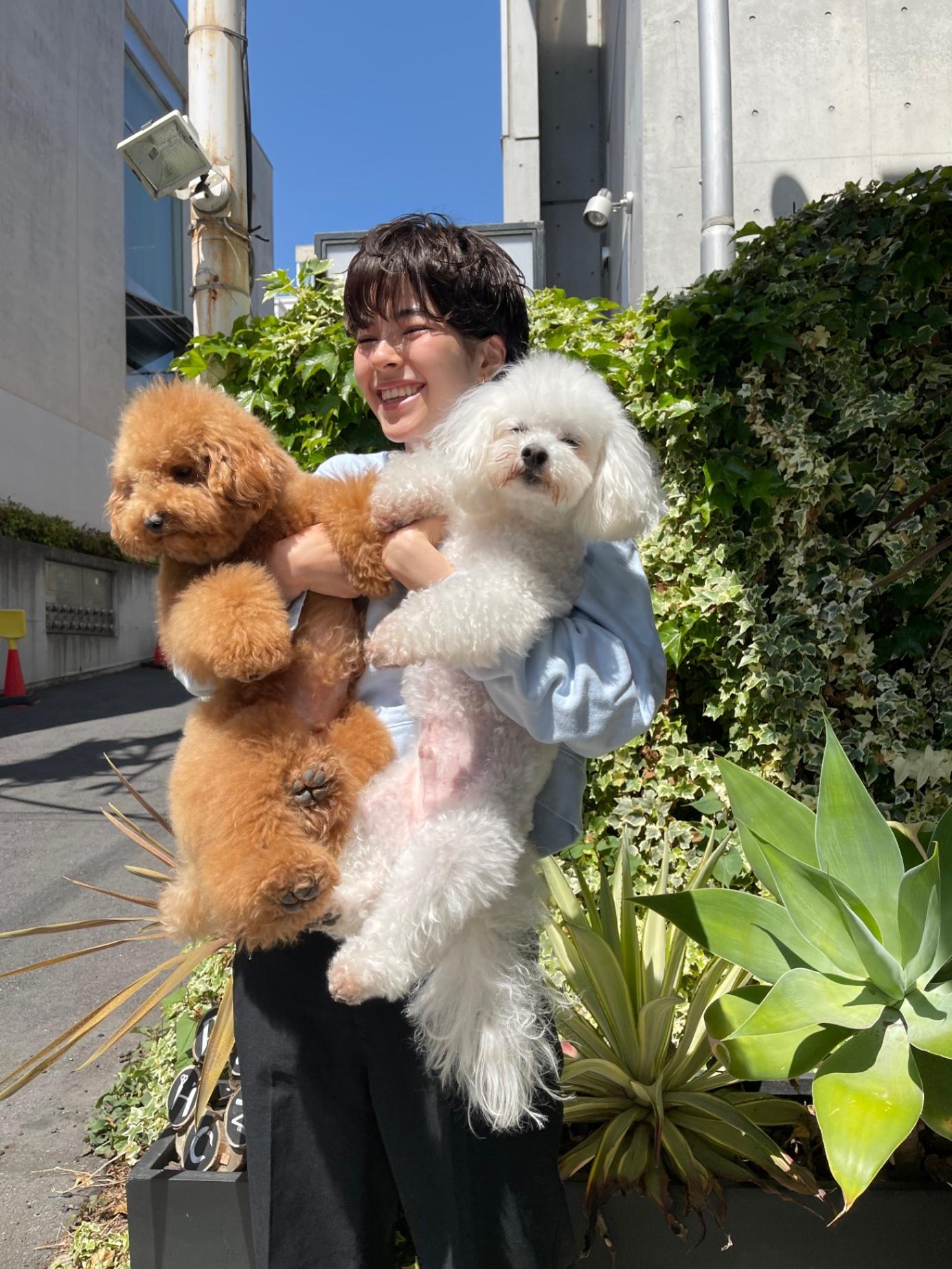 https://assets.am-yu.jp/34e23d09-fa64-4948-a914-24a0894995d5.jpeg