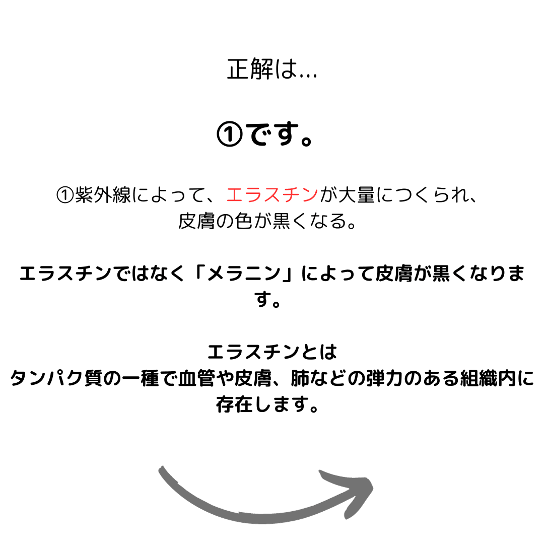 https://assets.am-yu.jp/6f1b7ecc-d2ac-4309-bde9-7195fd1d00fc.png