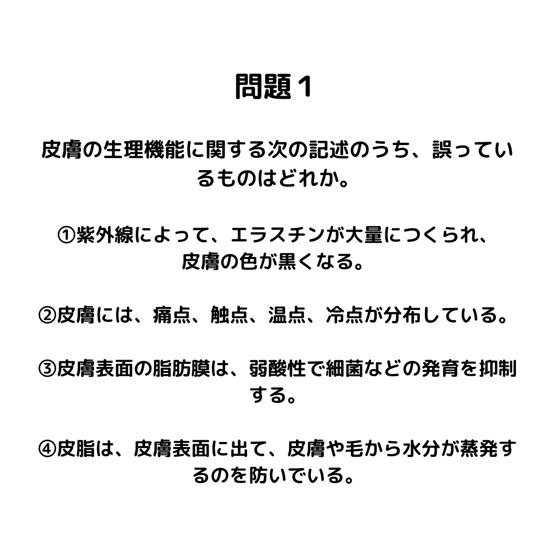 https://assets.am-yu.jp/9b4edb33-a11d-4260-a251-892b54ad73cf.png