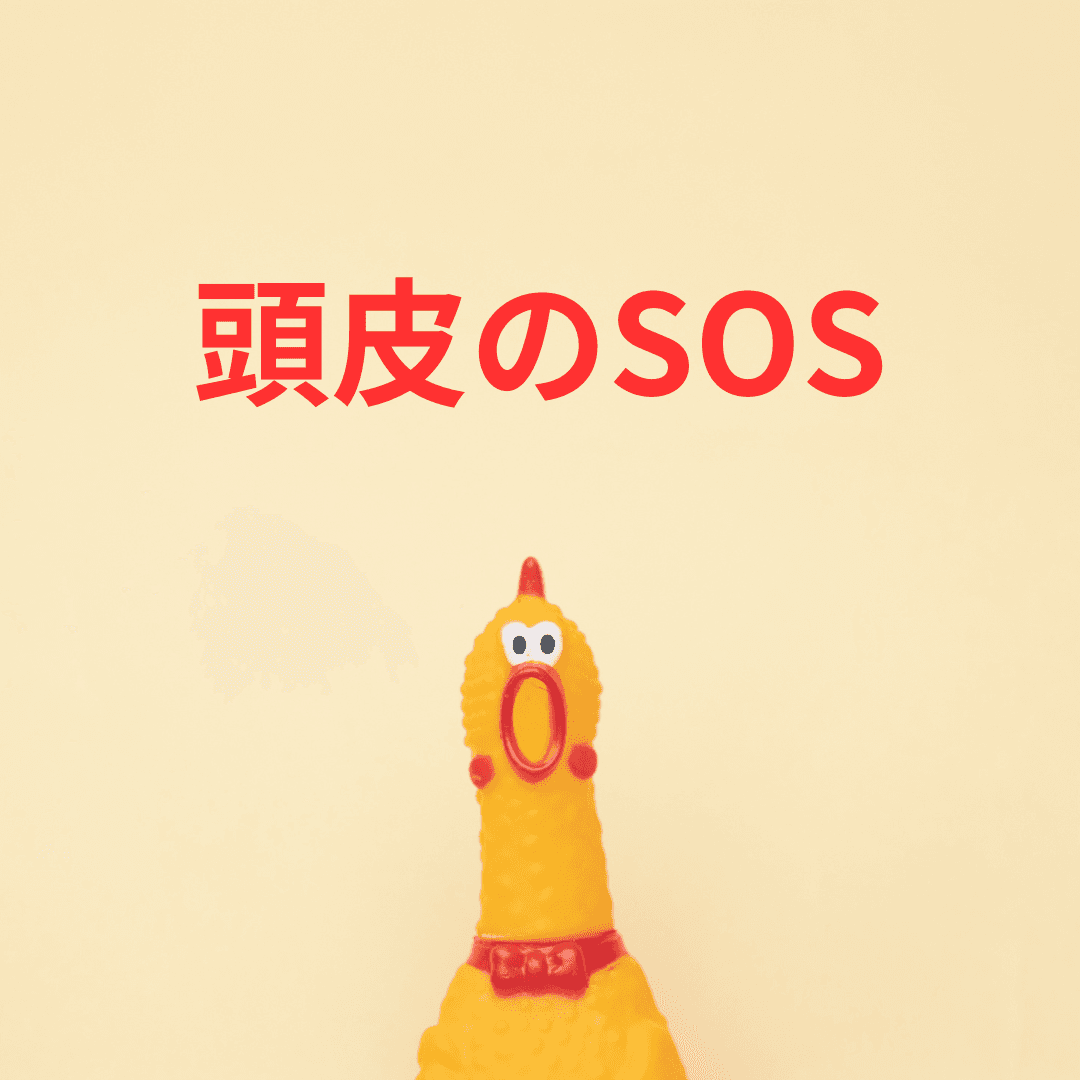 頭皮のSOS